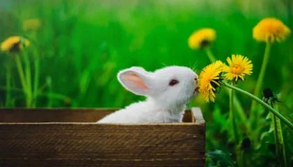 KAIYUNAPP-蝶泳50米划频冠军仅用24次，蝶泳50米记录