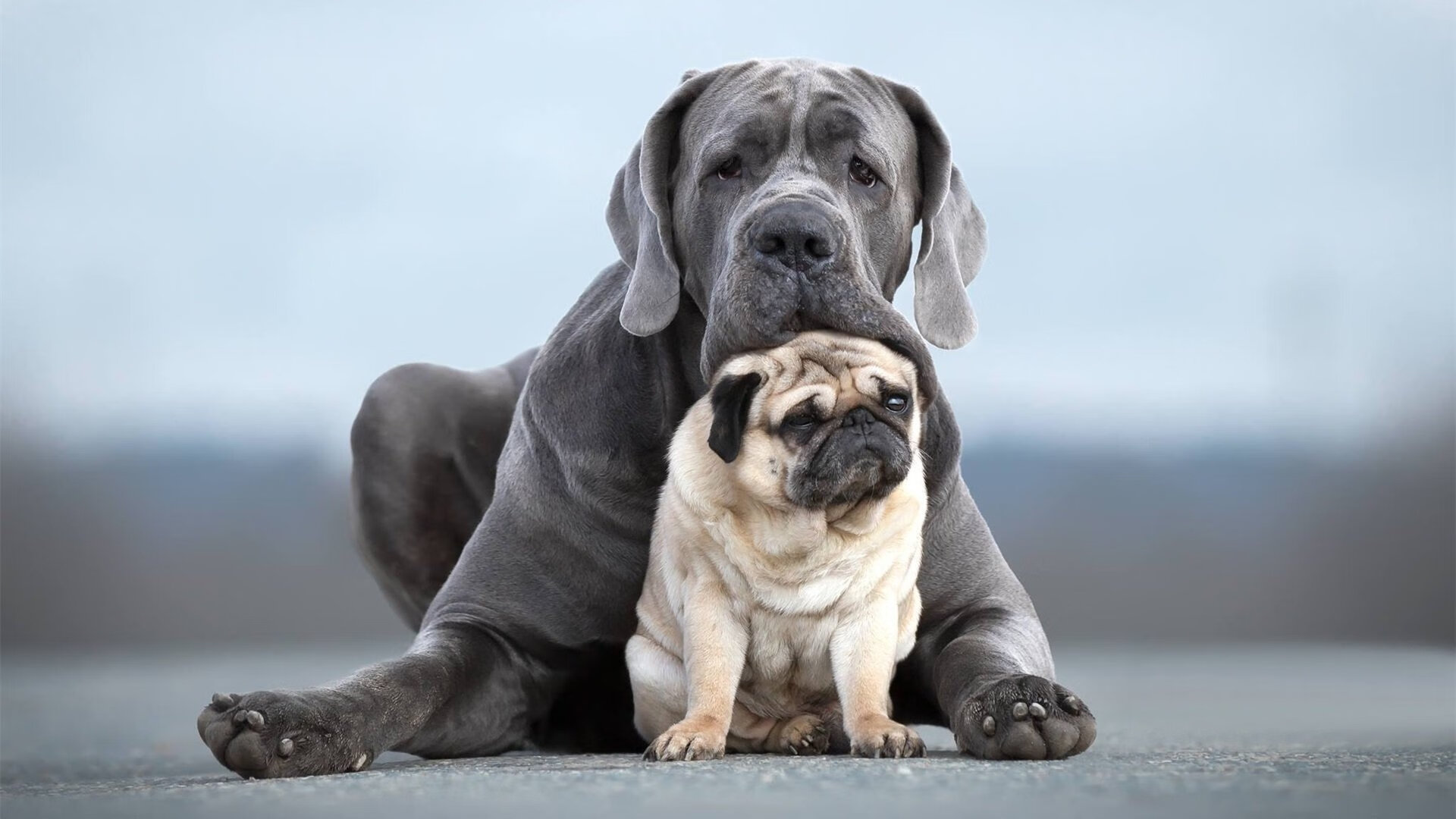 中国篮球联赛赛事营销与品牌传播策略，篮球联赛宣传海报