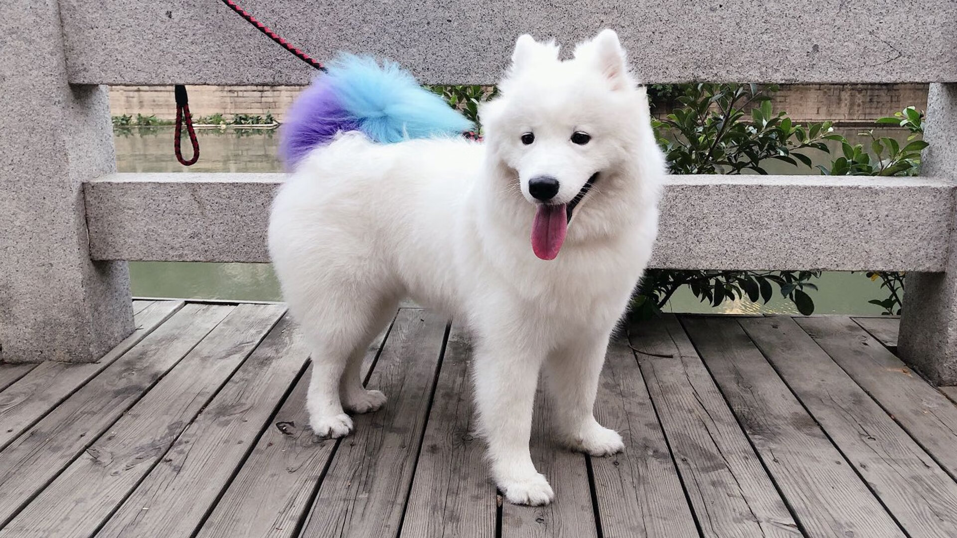 中国篮球联赛赛程优化对球队竞技状态及观众体验的影响,中国篮球的问题及解决方案