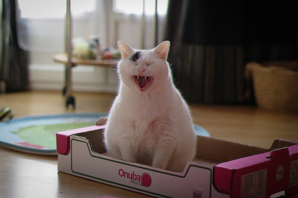 中国篮球联赛赛程安排优化及竞技状态影响研究，中国篮球赛事2021