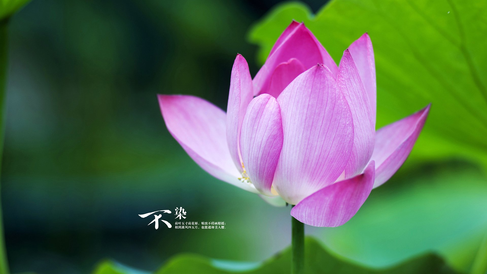 篮球运动员专项技能动作规范化训练体系,篮球运动员专项技能特征