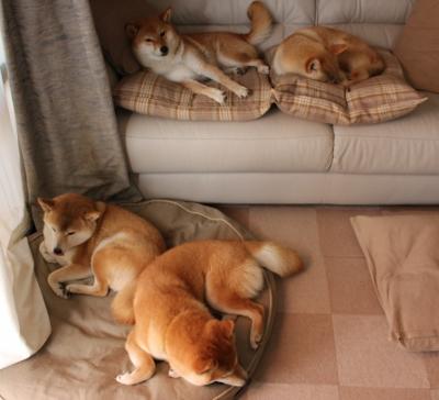 英超阵地防守与高位抢断结合形成新赛季压迫风格,英超战术分析