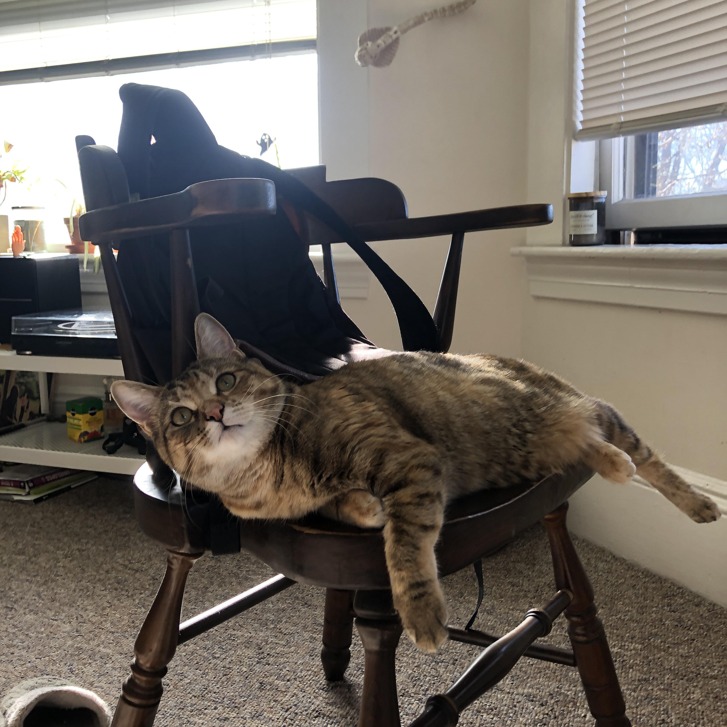 高校运动心理干预机制及效果评估，高校心理干预案例