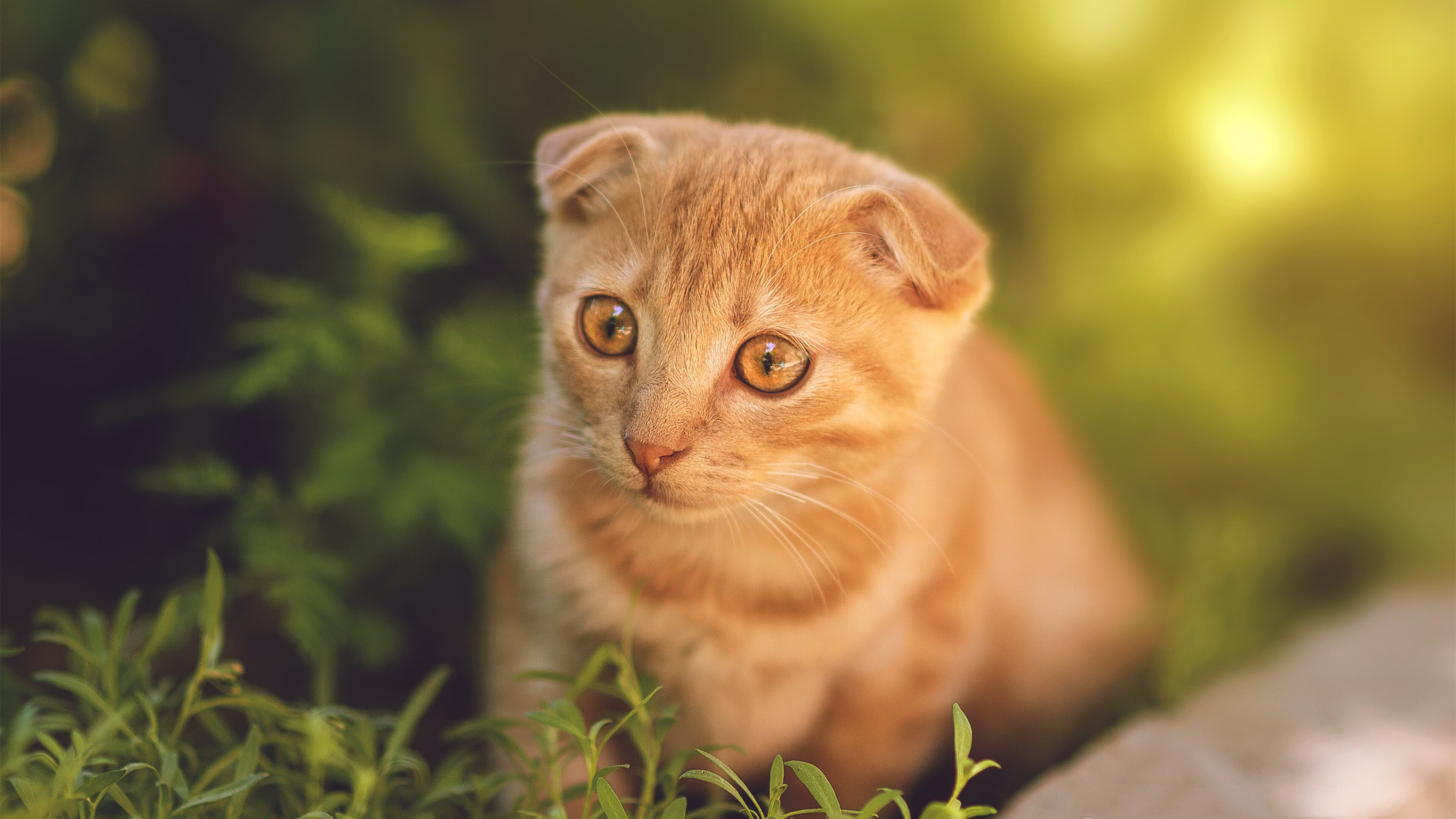 “羽毛球：简阳文体中心赛场高速对决，赛点难分难解”