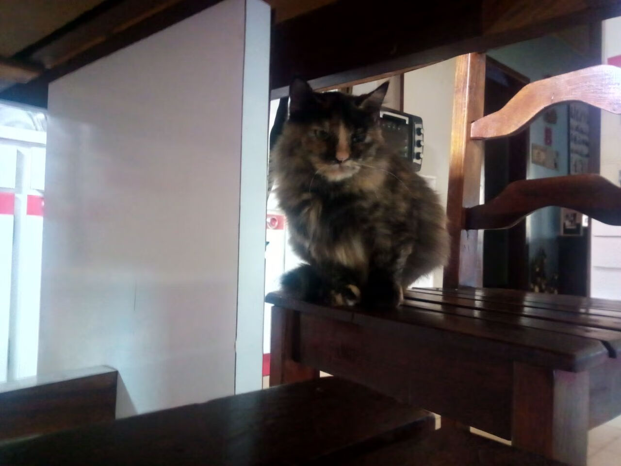 东亚杯国足战胜 球员技术进步显著，中国足球东亚杯