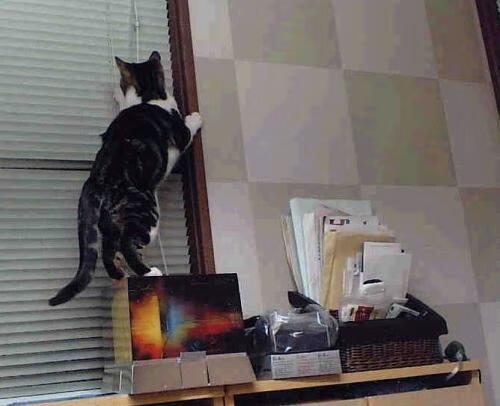 体育新闻中心启动体育内容原创人才培养专项,体育新闻专题报道