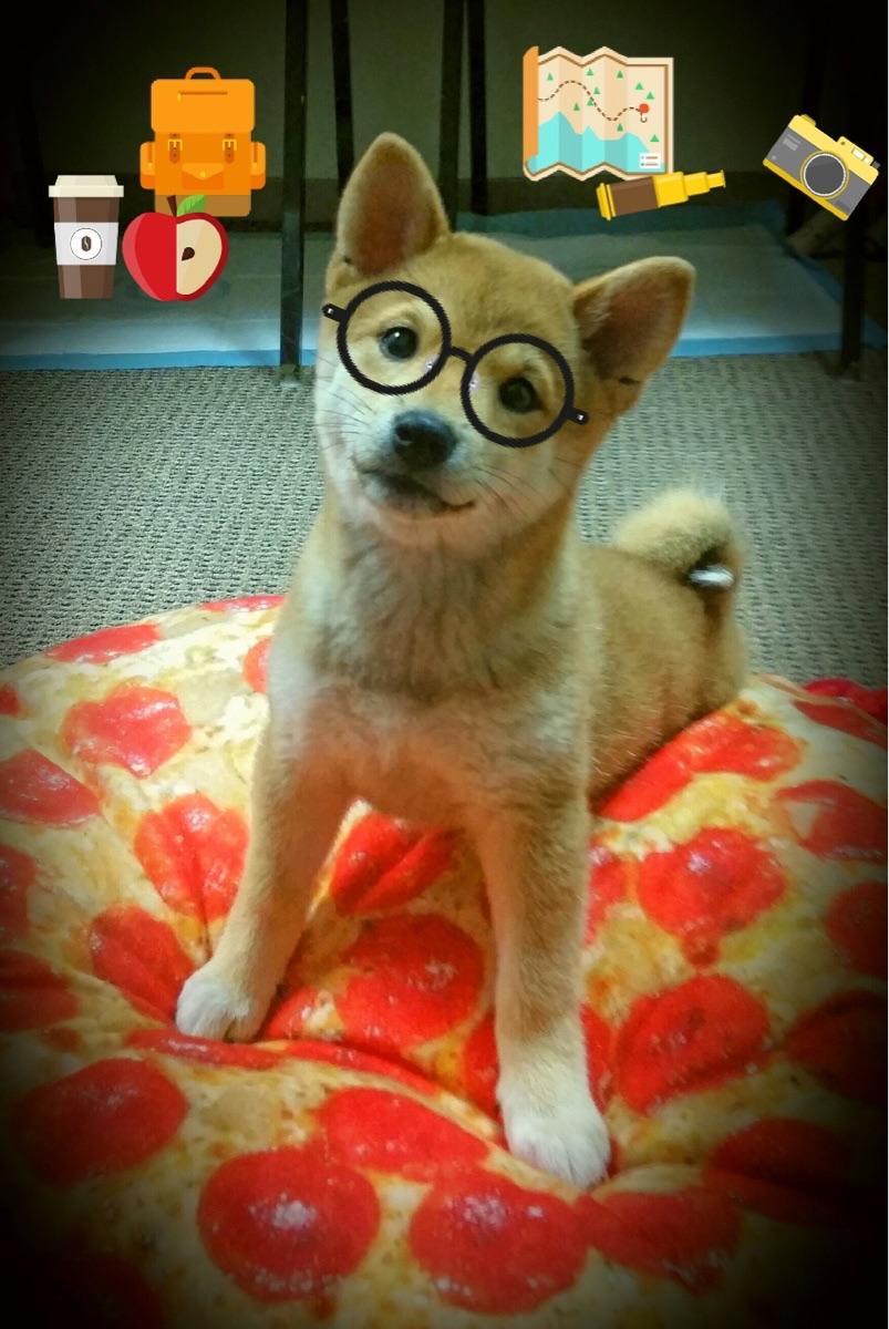 图卢兹前场抢断转化为有效攻势,图卢兹insa