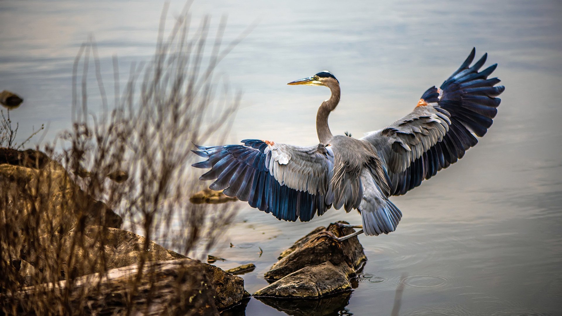 职业联赛主场氛围营造手段单一,俱乐部职业队为主的联赛