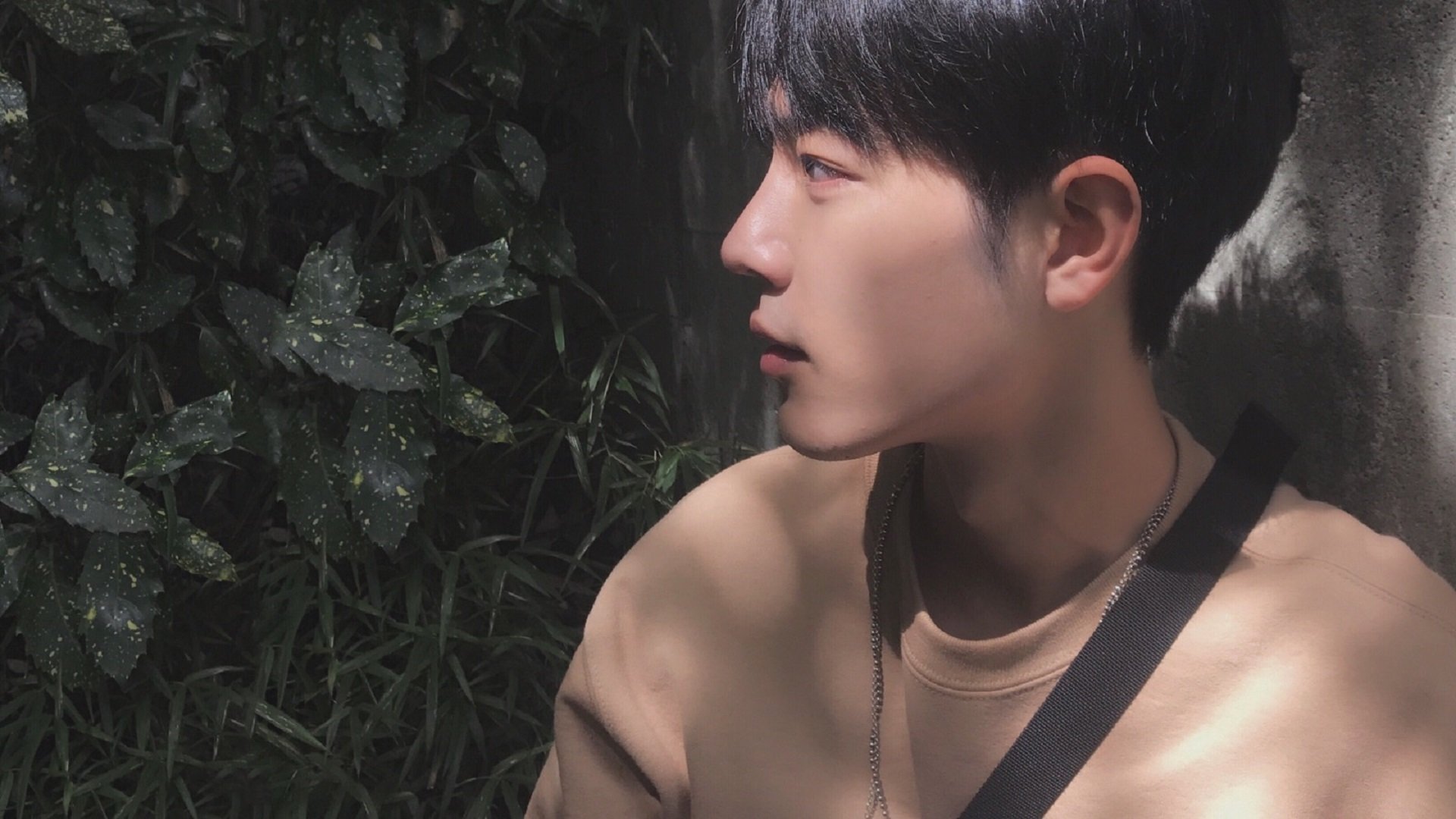 开云平台-“南非羚羊队的中流砥柱：诺克·达维德·彼得森的核心作用”