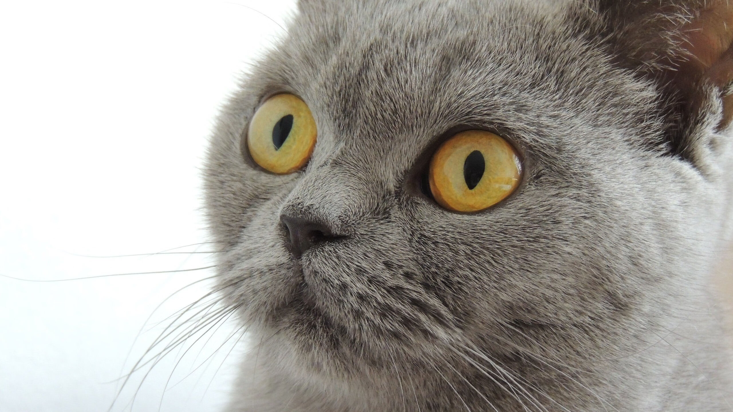 中乙球队建立球员季度反馈制度优化训练安排,中乙参赛球队