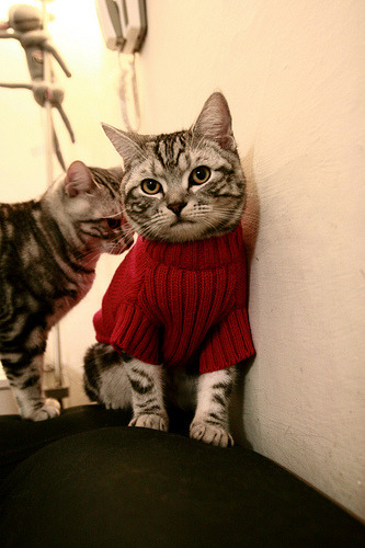 吉尔吉斯斯坦水球战术灵活多变,吉尔吉斯斯坦河流