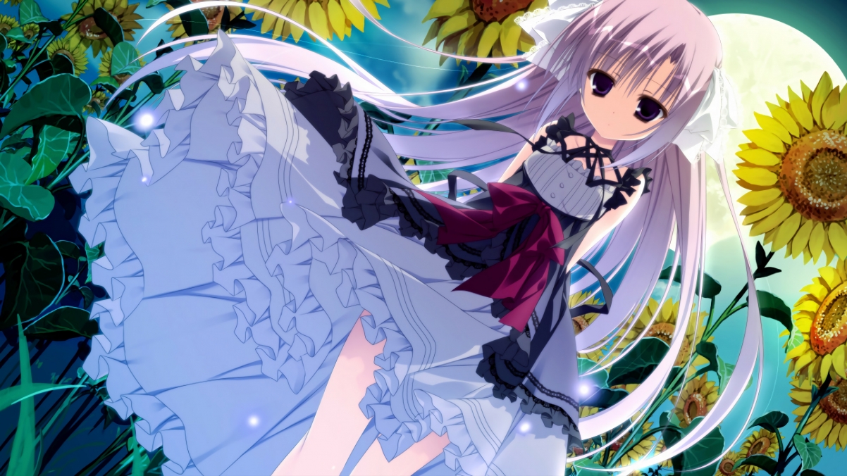 开云中国大陆-国家体育总局公告全民健身主题宣传月日程表，体育总局全民健身实施计划