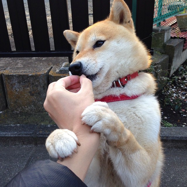 Kaiyun(中国)开云-巴雷特：全黑队关键比赛中的冷静指挥官，稳定球队进攻节奏，巴雷特全名