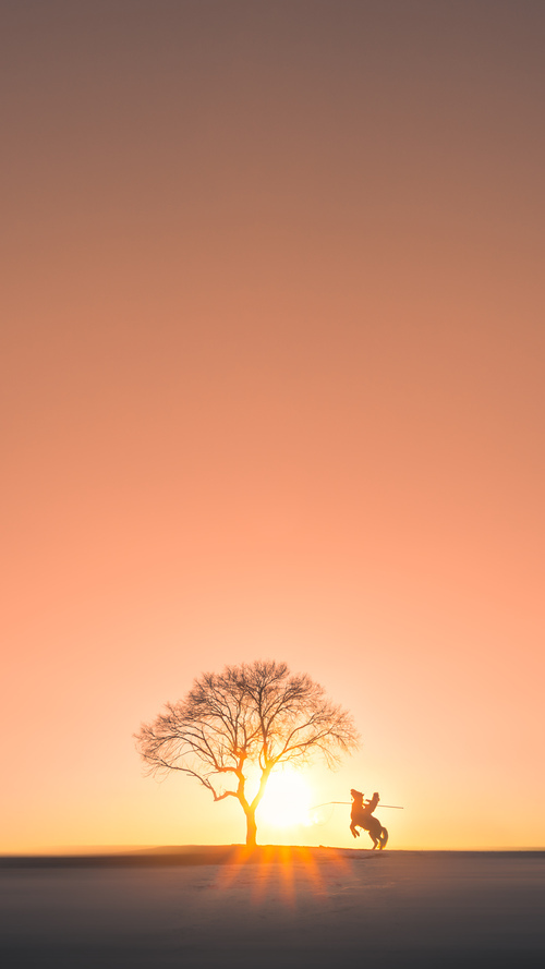 戴维·帕特森助袋鼠队攻守兼备，打破对方防线，戴维帕特尔