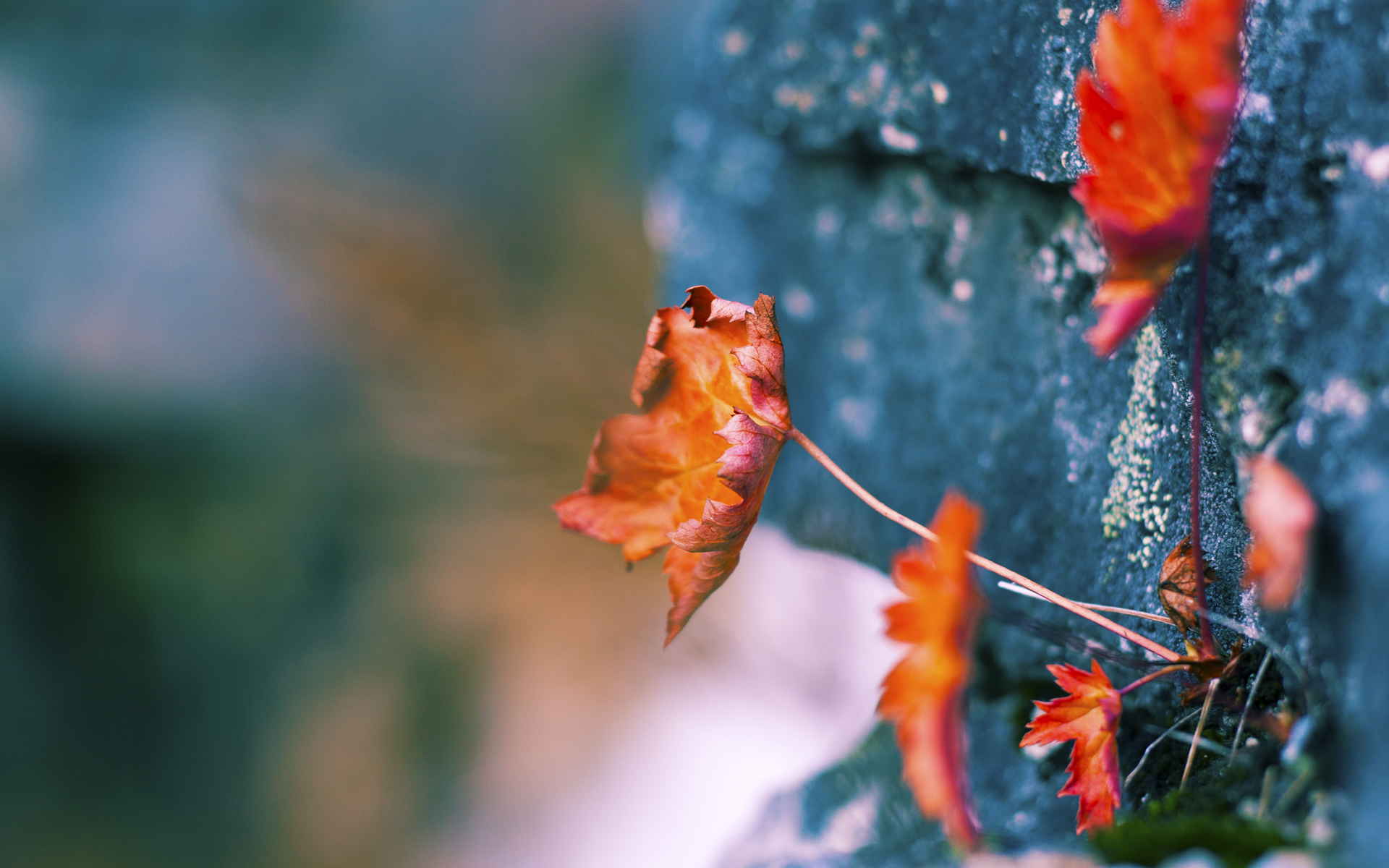 皮特·斯图斯：无所不能的防守大师，斯图皮特进阶题