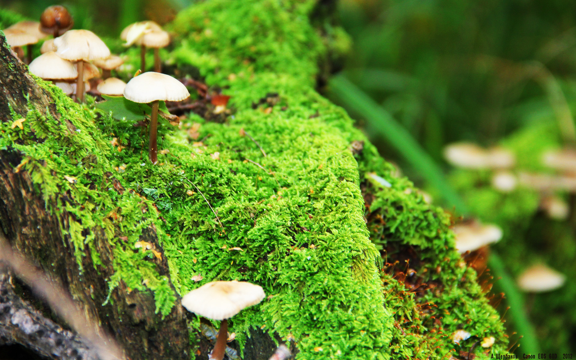 开云平台-青少年运动员参赛积极性高新赛制激发潜能实现多维度成长，青少年运动锦标赛