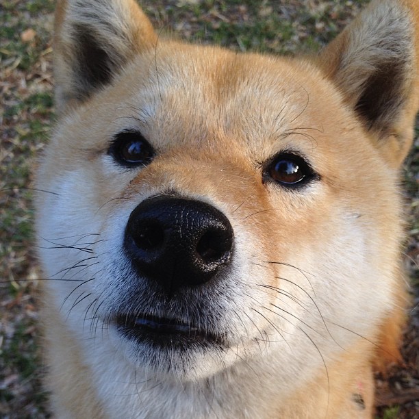 135万件充电宝被召回，质量与安全引发关注，近4成充电宝抽检不合格 新闻