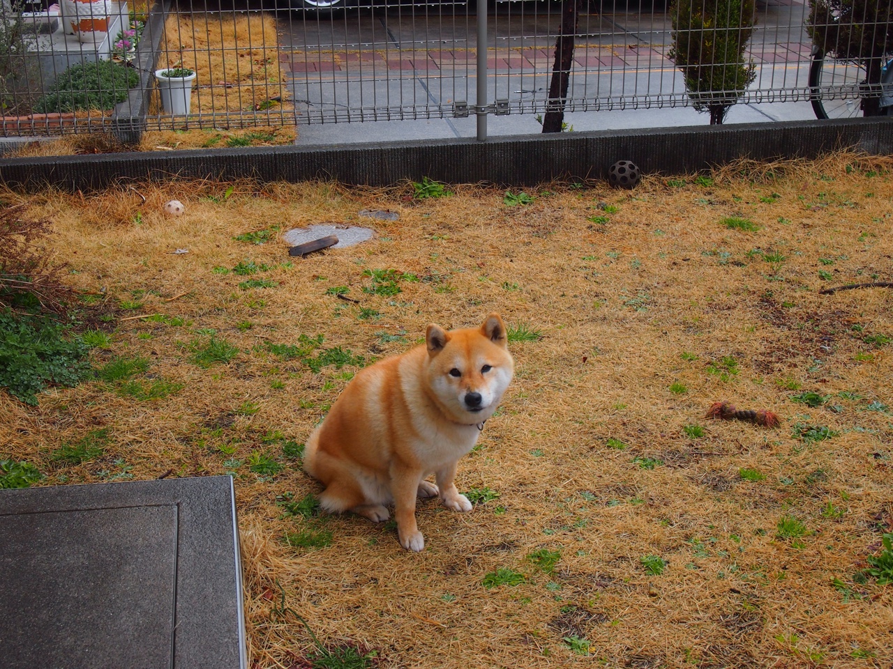 2024奥运赛事全球观众参与度创新纪录，2024奥运会比赛项目介绍