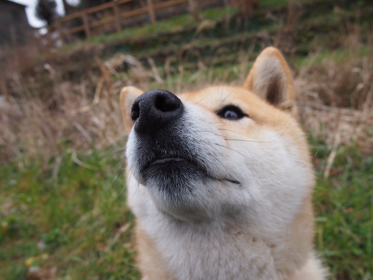 中国足球是否推动退役球员进入基层教练体系，足球运动员 退役