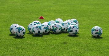 开云网站-中国足球青训人才选拔科学化，中国足球青训将来的发展