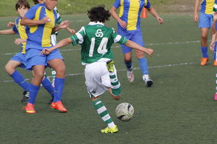 开云体育APP下载-体育新闻中心追踪每一场精彩赛事，体育新闻官网