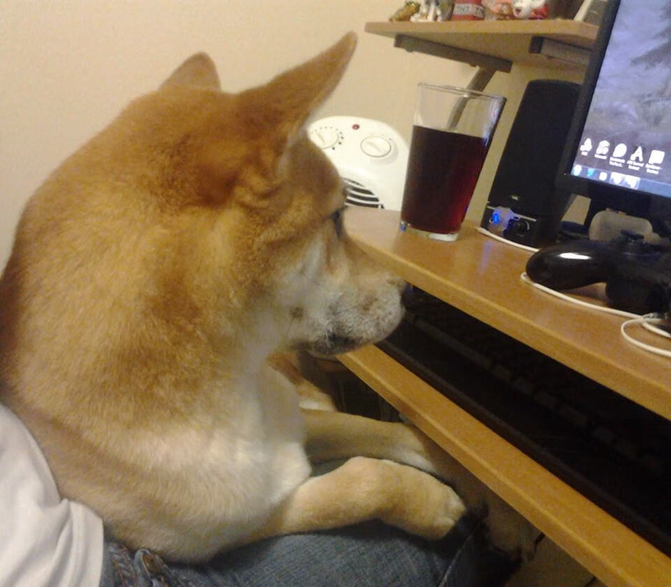 kaiyun.com-俱乐部举办“未来之星”青少年运动创新大赛